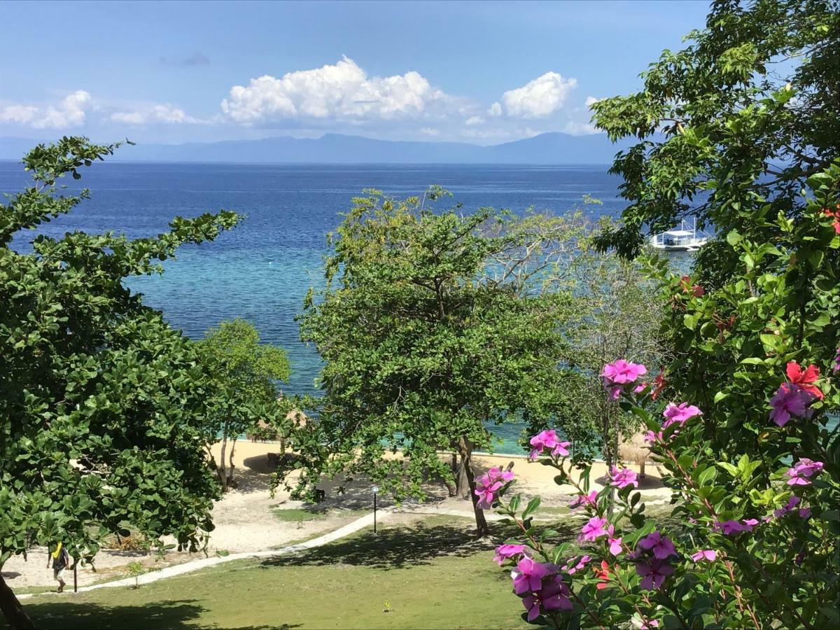 Cuestas Beach Resort And Restaurant Badian Dış mekan fotoğraf